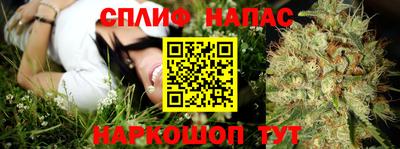тгк Будённовск